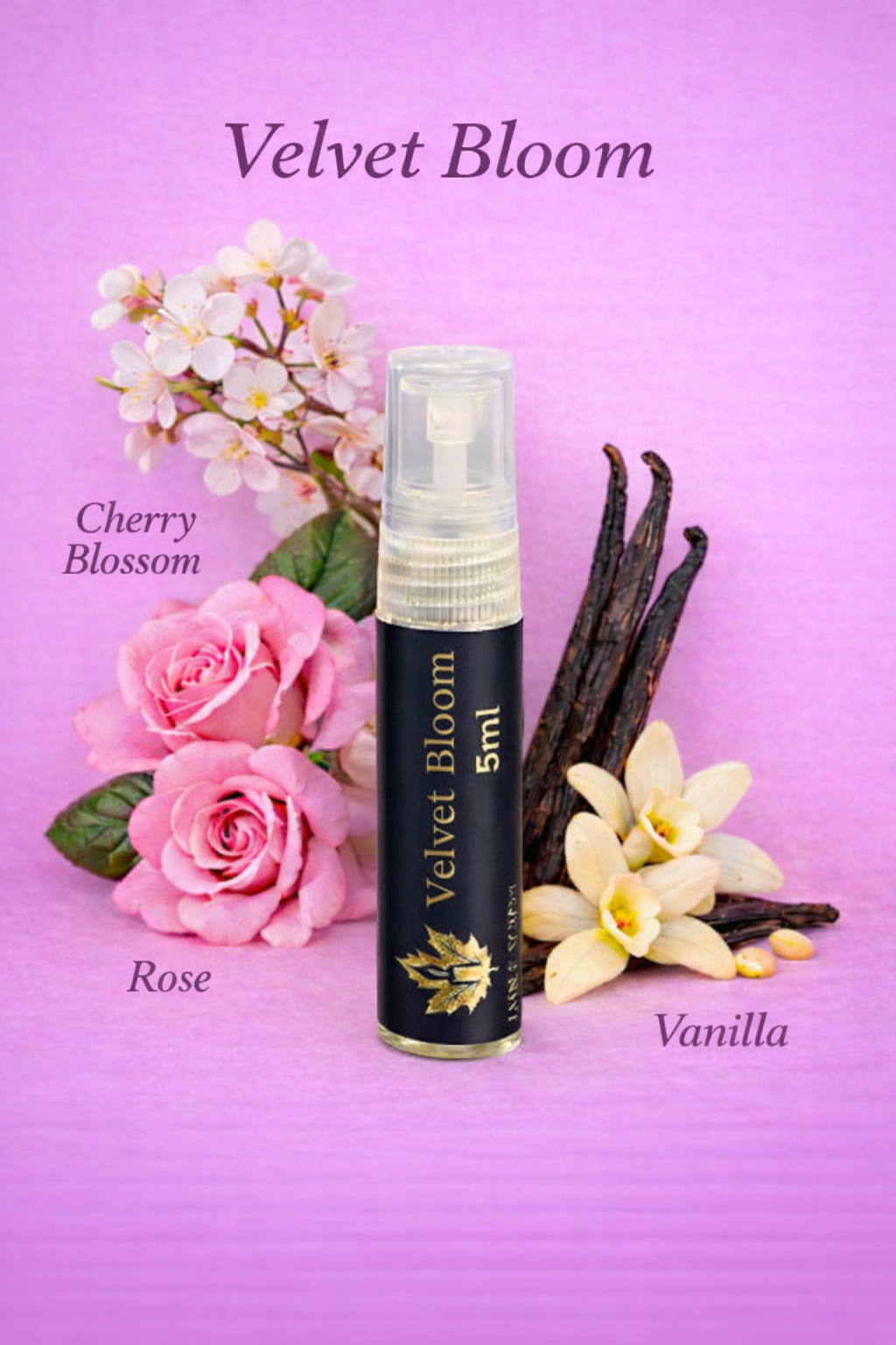 Velvet Bloom