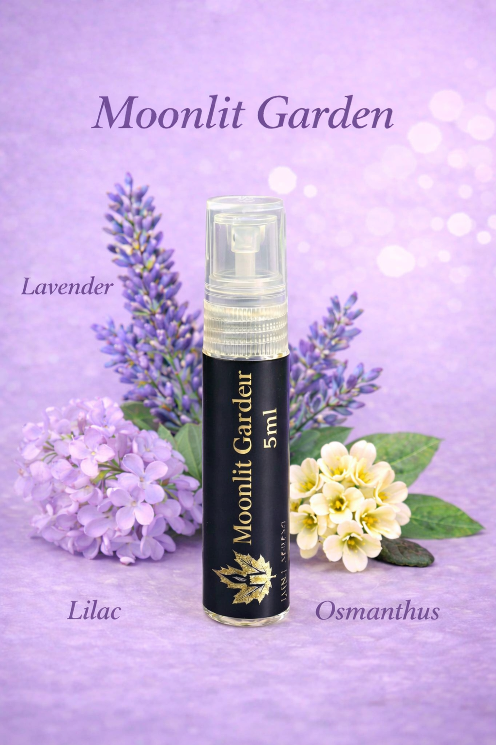 Moonlit Garden